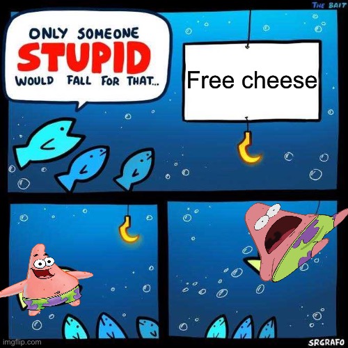 Only someone stupid would fall for that | Free cheese | image tagged in only someone stupid would fall for that | made w/ Imgflip meme maker