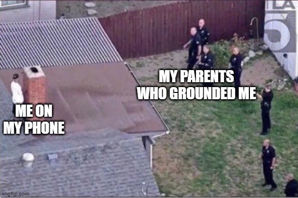 Guy hiding from cops on roof | MY PARENTS WHO GROUNDED ME; ME ON MY PHONE | image tagged in guy hiding from cops on roof,barney will eat all of your delectable biscuits | made w/ Imgflip meme maker