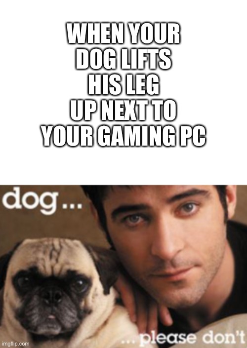 Oh please no not the gaming pc | WHEN YOUR DOG LIFTS HIS LEG UP NEXT TO YOUR GAMING PC | image tagged in blank white template,dog please don t | made w/ Imgflip meme maker
