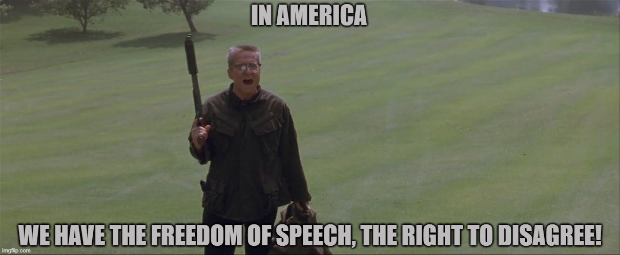 America | IN AMERICA; WE HAVE THE FREEDOM OF SPEECH, THE RIGHT TO DISAGREE! | image tagged in falling down | made w/ Imgflip meme maker