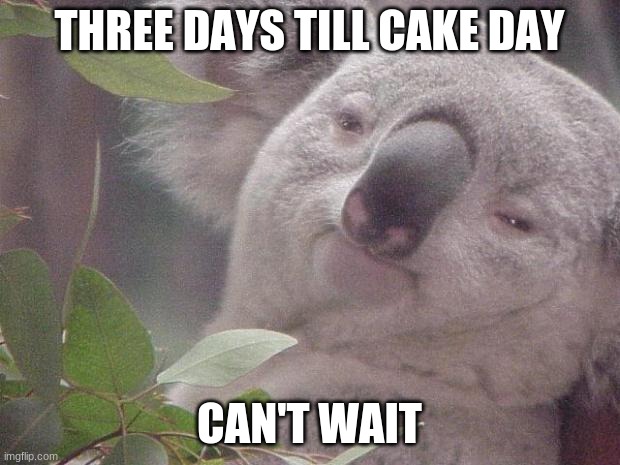 wish luck | THREE DAYS TILL CAKE DAY; CAN'T WAIT | image tagged in dank koala,msmg | made w/ Imgflip meme maker