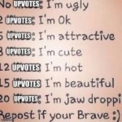 cause why not | made w/ Imgflip meme maker