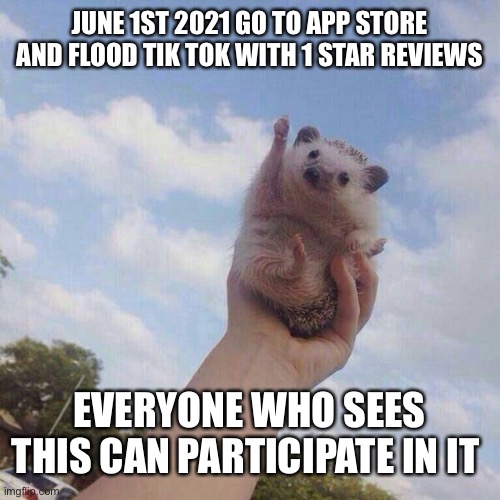 lets go | JUNE 1ST 2021 GO TO APP STORE AND FLOOD TIK TOK WITH 1 STAR REVIEWS; EVERYONE WHO SEES THIS CAN PARTICIPATE IN IT | image tagged in lets go | made w/ Imgflip meme maker