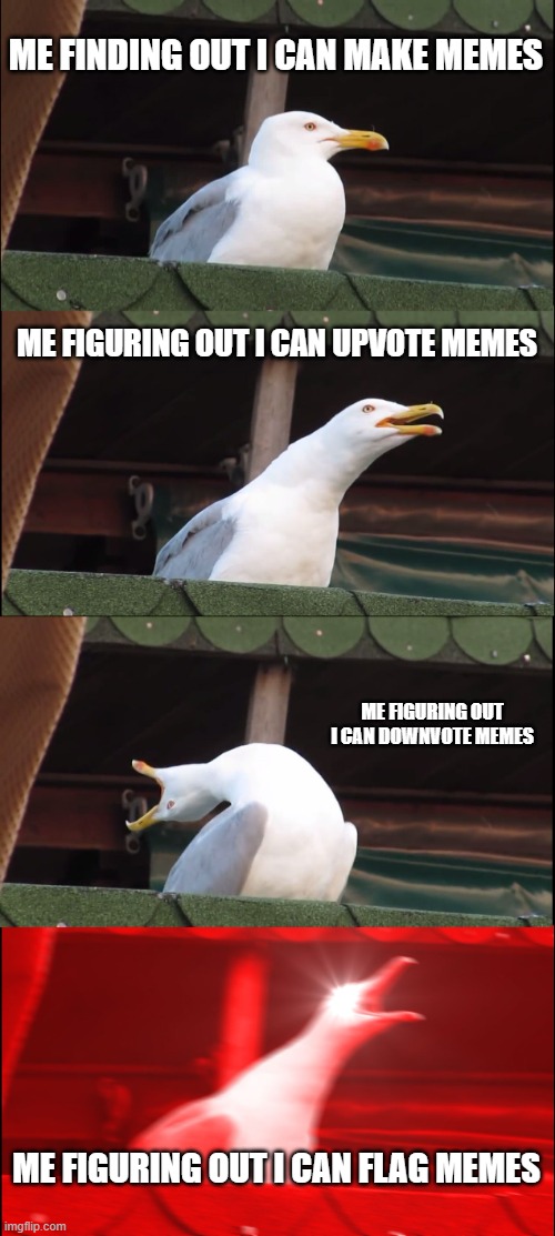 FLAG | ME FINDING OUT I CAN MAKE MEMES; ME FIGURING OUT I CAN UPVOTE MEMES; ME FIGURING OUT I CAN DOWNVOTE MEMES; ME FIGURING OUT I CAN FLAG MEMES | image tagged in memes,inhaling seagull | made w/ Imgflip meme maker