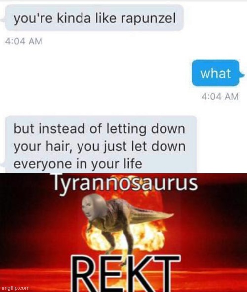 That left a hole! | image tagged in roasted,tyrannosaurus rekt,fun,funny,ouch | made w/ Imgflip meme maker
