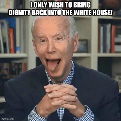 Brain dead pedo Joe! | I ONLY WISH TO BRING DIGNITY BACK INTO THE WHITE HOUSE! | image tagged in dude you're an idiot | made w/ Imgflip meme maker