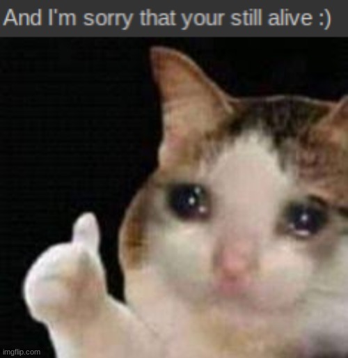. | image tagged in approved crying cat | made w/ Imgflip meme maker