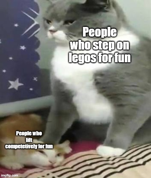Seriously, who does that?! | People who step on legos for fun; People who lift competetively for fun | image tagged in big cat stomping small cat | made w/ Imgflip meme maker