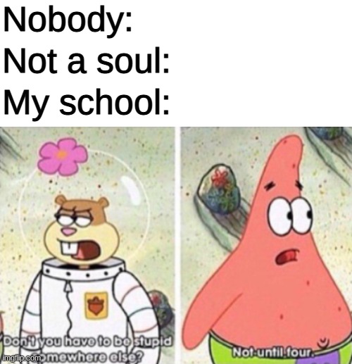 my school is so dumb | Nobody:; Not a soul:; My school: | image tagged in blank white template,middle school | made w/ Imgflip meme maker