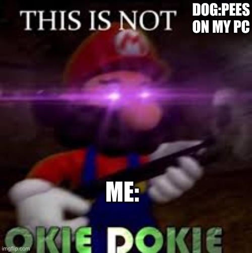 This is not okie dokie | DOG:PEES ON MY PC ME: | image tagged in this is not okie dokie | made w/ Imgflip meme maker