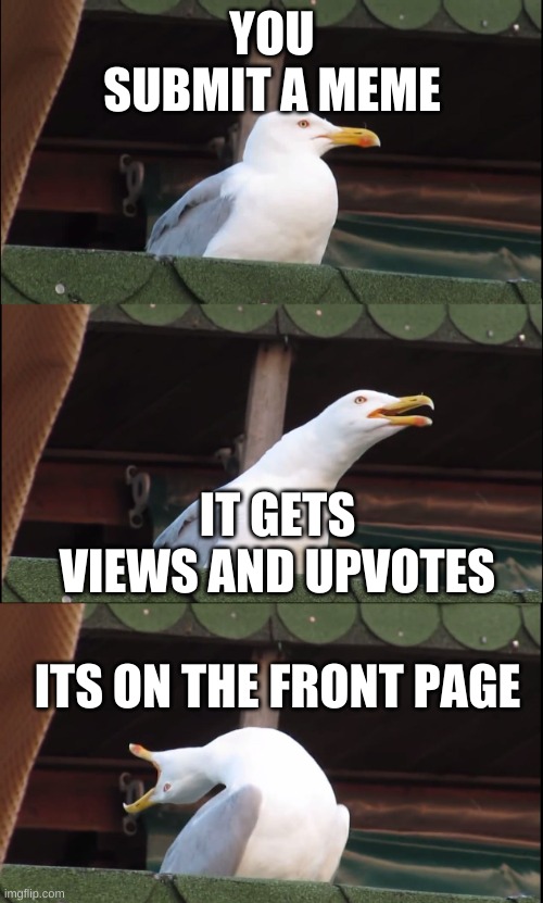 your meme | YOU SUBMIT A MEME; IT GETS VIEWS AND UPVOTES; ITS ON THE FRONT PAGE | image tagged in meme,funny,quack,duck,your meme | made w/ Imgflip meme maker