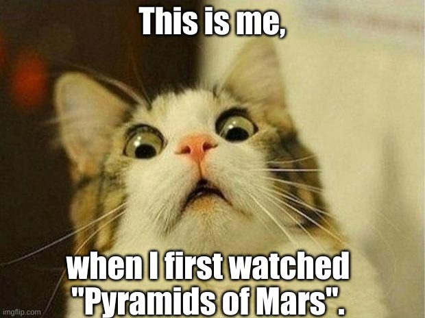 WTF Terrance Dicks?!!?!!!! | This is me, when I first watched "Pyramids of Mars". | image tagged in memes,scared cat,doctor who | made w/ Imgflip meme maker