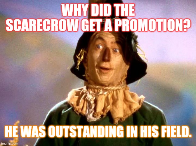 Wizard of Oz Scarecrow | WHY DID THE SCARECROW GET A PROMOTION? HE WAS OUTSTANDING IN HIS FIELD. | image tagged in wizard of oz scarecrow,jokes,dad joke | made w/ Imgflip meme maker