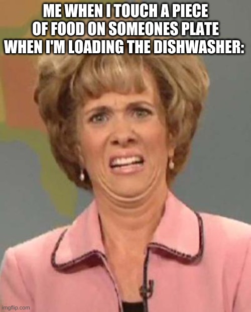 B) | ME WHEN I TOUCH A PIECE OF FOOD ON SOMEONES PLATE WHEN I'M LOADING THE DISHWASHER: | image tagged in disgusted kristin wiig | made w/ Imgflip meme maker