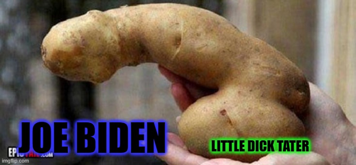 LITTLE DICK TATER JOE BIDEN | made w/ Imgflip meme maker