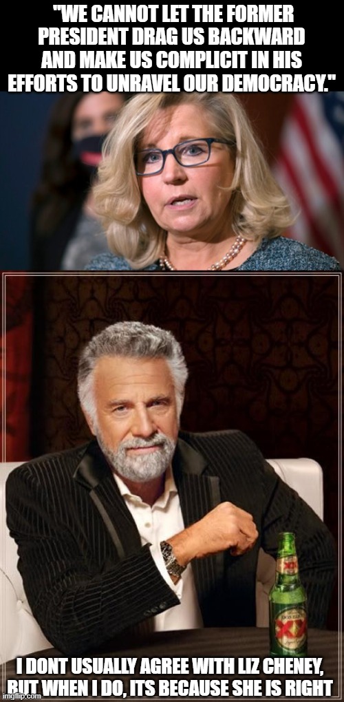 Cancel culture at its finest | "WE CANNOT LET THE FORMER PRESIDENT DRAG US BACKWARD AND MAKE US COMPLICIT IN HIS EFFORTS TO UNRAVEL OUR DEMOCRACY."; I DONT USUALLY AGREE WITH LIZ CHENEY, BUT WHEN I DO, ITS BECAUSE SHE IS RIGHT | image tagged in liz cheney,memes,the most interesting man in the world,politcs,donald trump is an idiot | made w/ Imgflip meme maker