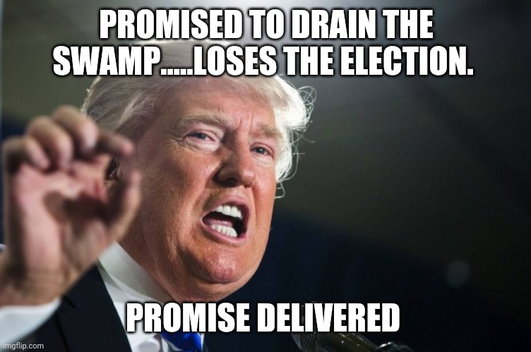 Drain the swamp | PROMISED TO DRAIN THE SWAMP.....LOSES THE ELECTION. PROMISE DELIVERED | image tagged in donald trump,trump supporter,maga,conservatives,nevertrump,liberals | made w/ Imgflip meme maker