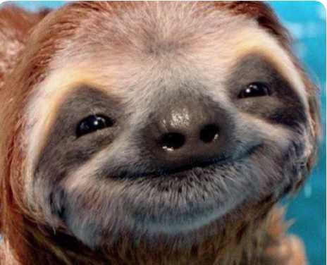 Extended happy sloth Blank Meme Template