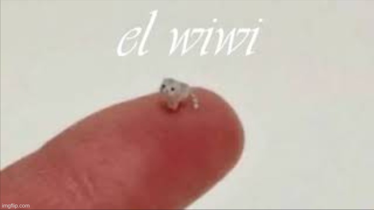 El wiwi | image tagged in el wiwi | made w/ Imgflip meme maker