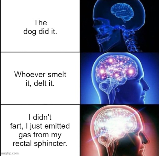 Fart | The dog did it. Whoever smelt it, delt it. I didn't fart, I just emitted gas from my rectal sphincter. | image tagged in 1000 iq,fart,farts,farting,farted | made w/ Imgflip meme maker