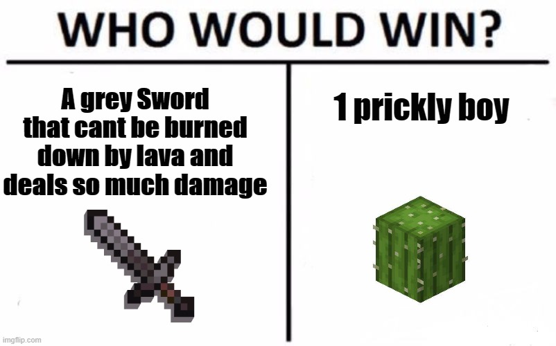 Sword vs cactus | A grey Sword that cant be burned down by lava and deals so much damage; 1 prickly boy | image tagged in memes,who would win | made w/ Imgflip meme maker