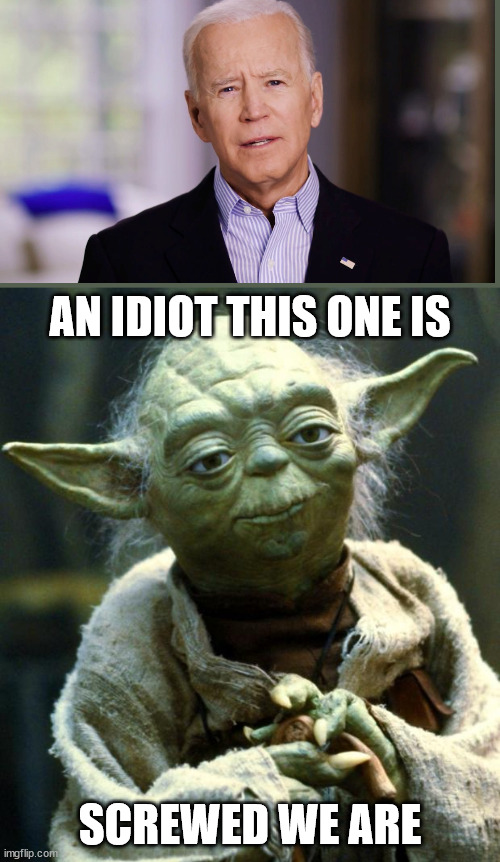 I got bored so.... | AN IDIOT THIS ONE IS; SCREWED WE ARE | image tagged in memes,star wars yoda,politics,political meme,funny memes,repost | made w/ Imgflip meme maker