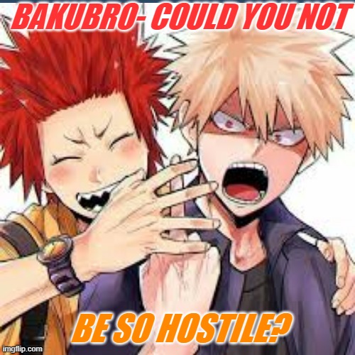 Kirishima: Katsuki please stop- (ehehe pls dont kill me) | BAKUBRO- COULD YOU NOT; BE SO HOSTILE? | made w/ Imgflip meme maker