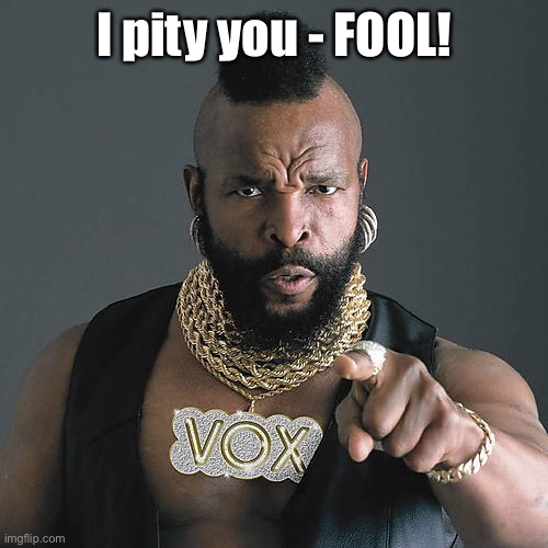 Mr T Pity The Fool Meme | I pity you - FOOL! | image tagged in memes,mr t pity the fool | made w/ Imgflip meme maker