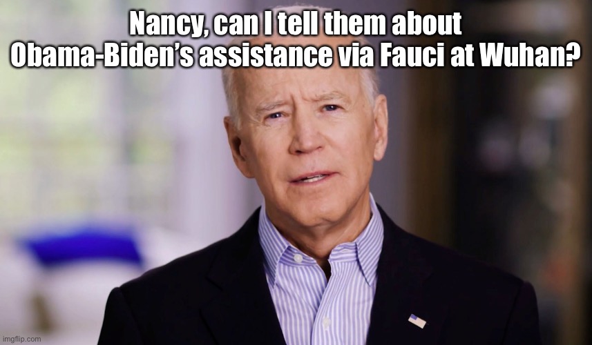 Joe Biden 2020 | Nancy, can I tell them about Obama-Biden’s assistance via Fauci at Wuhan? | image tagged in joe biden 2020 | made w/ Imgflip meme maker