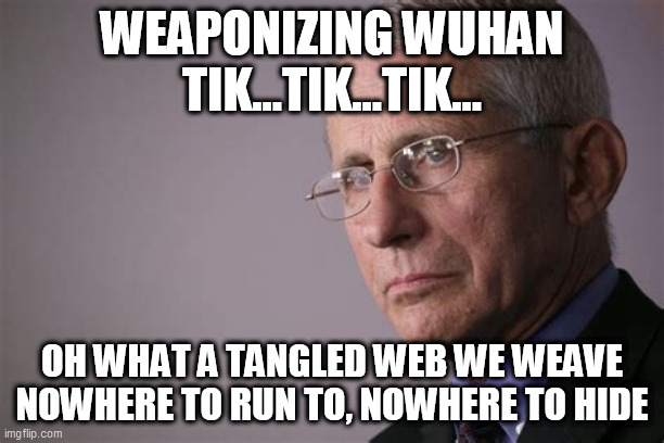 fauci lied | WEAPONIZING WUHAN
TIK...TIK...TIK... OH WHAT A TANGLED WEB WE WEAVE
NOWHERE TO RUN TO, NOWHERE TO HIDE | image tagged in tony fauci,weaponizing wuhan,peter daszak,shi zhenli,natalie winters | made w/ Imgflip meme maker