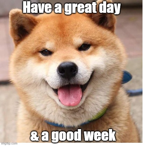 hi | Have a great day; & a good week | image tagged in dog,cute | made w/ Imgflip meme maker