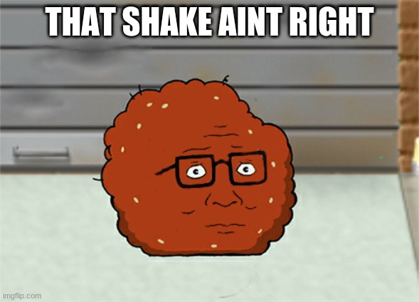 remember when King of the Hill was on Adult Swim? | THAT SHAKE AINT RIGHT | made w/ Imgflip meme maker