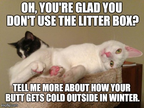 image tagged in condescending cat | made w/ Imgflip meme maker