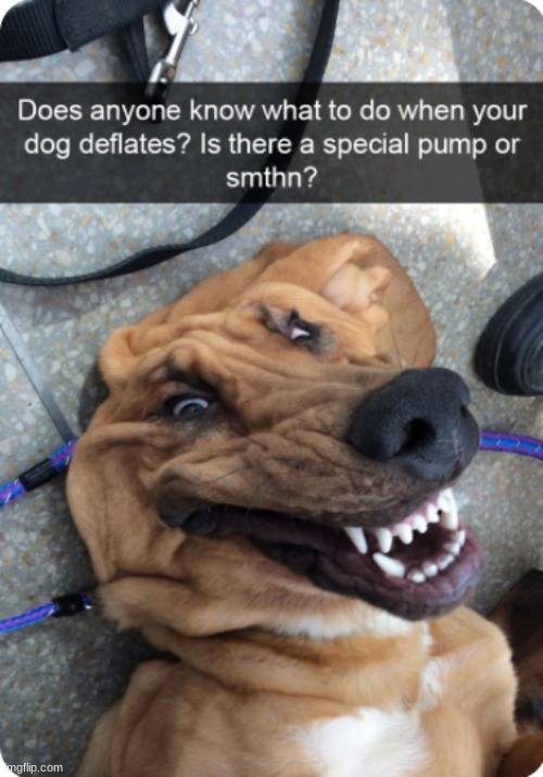 XDDDDDDDDDD | made w/ Imgflip meme maker