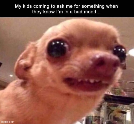 XD | made w/ Imgflip meme maker