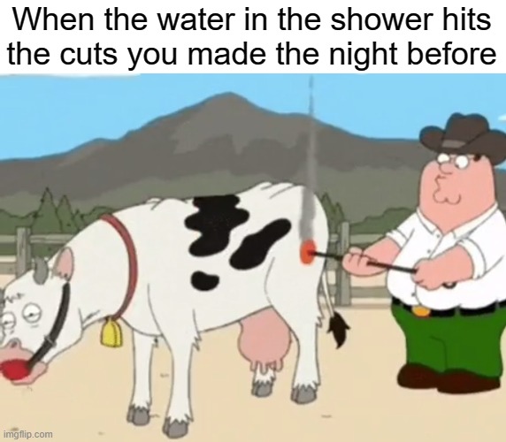 Ouch | When the water in the shower hits
the cuts you made the night before | image tagged in family guy,bondage bdsm,cow,self-harm,depression,anxiety | made w/ Imgflip meme maker