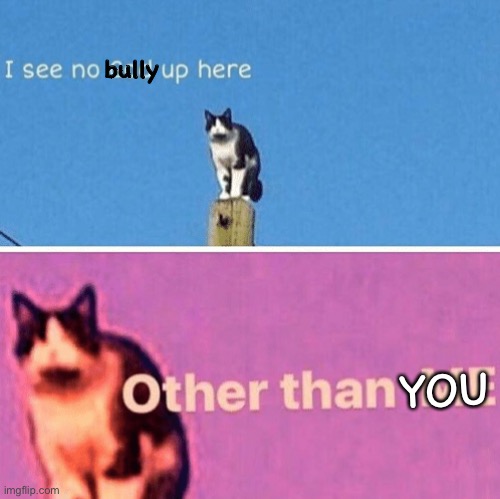 Hail pole cat | bully YOU | image tagged in hail pole cat | made w/ Imgflip meme maker