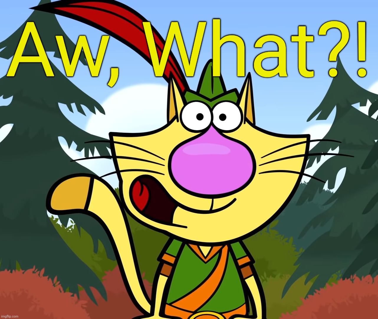 No Way!! (Nature Cat) | Aw, What?! | image tagged in no way nature cat | made w/ Imgflip meme maker