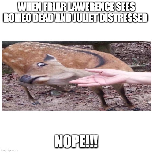 Blank Transparent Square | WHEN FRIAR LAWERENCE SEES ROMEO DEAD AND JULIET DISTRESSED; NOPE!!! | image tagged in memes | made w/ Imgflip meme maker