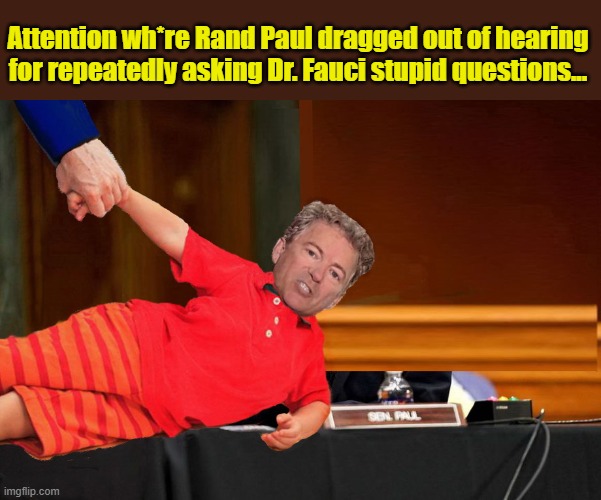 In a Perfect World | Attention wh*re Rand Paul dragged out of hearing for repeatedly asking Dr. Fauci stupid questions... | image tagged in rand paul,moron,child,idiot | made w/ Imgflip meme maker