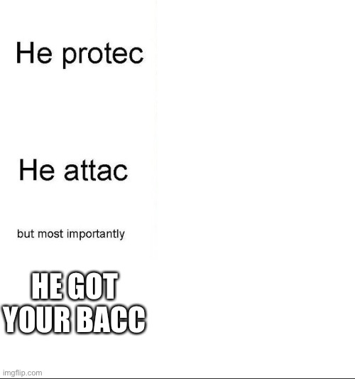 he protecc | HE GOT YOUR BACC | image tagged in he protecc | made w/ Imgflip meme maker