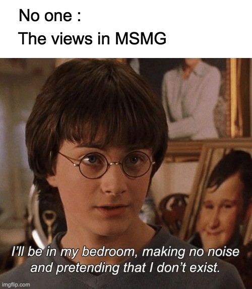 First time posting here on Msmg. Im not sure if this is true to everyone, but we'll just have to wait and see | No one :; The views in MSMG | image tagged in views,lol,memes,harry potter,no one | made w/ Imgflip meme maker