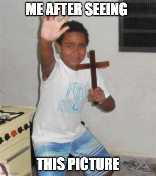 Scared Kid | ME AFTER SEEING THIS PICTURE | image tagged in scared kid | made w/ Imgflip meme maker