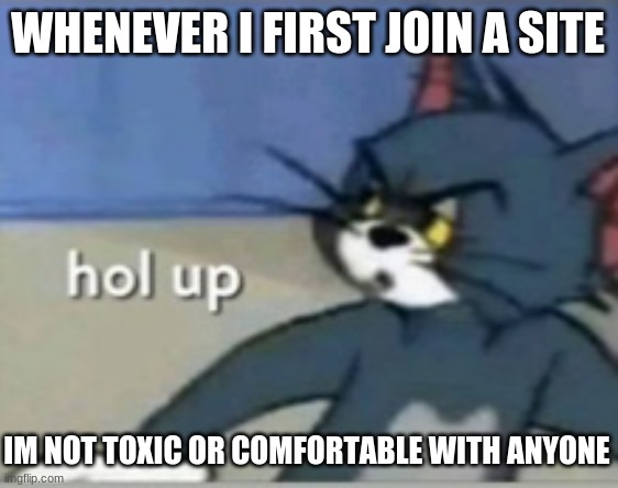 idk i have nothing else to say | WHENEVER I FIRST JOIN A SITE; IM NOT TOXIC OR COMFORTABLE WITH ANYONE | image tagged in hol up | made w/ Imgflip meme maker