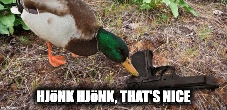 Mhm? | HJöNK HJöNK, THAT'S NICE | image tagged in so uhhhh | made w/ Imgflip meme maker