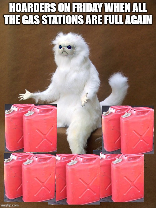 Persian Cat Room Guardian Single Meme | HOARDERS ON FRIDAY WHEN ALL THE GAS STATIONS ARE FULL AGAIN | image tagged in memes,persian cat room guardian single | made w/ Imgflip meme maker