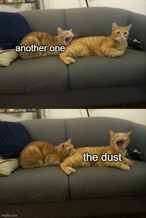 another one bites the dust | another one; the dust | image tagged in cat bites cat | made w/ Imgflip meme maker