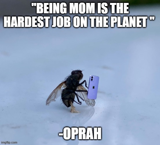Hardest job on the planet | "BEING MOM IS THE HARDEST JOB ON THE PLANET "; -OPRAH | image tagged in mom,job,life,oprah | made w/ Imgflip meme maker