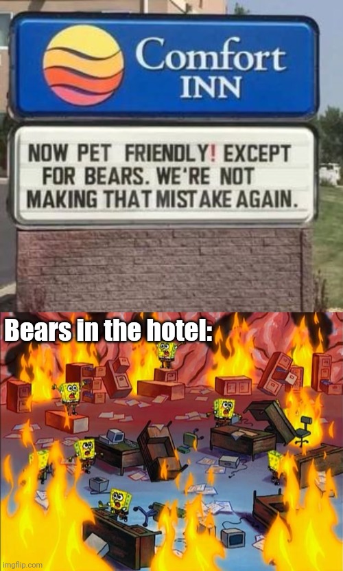 Bears in the hotel: | image tagged in spongebob fire | made w/ Imgflip meme maker