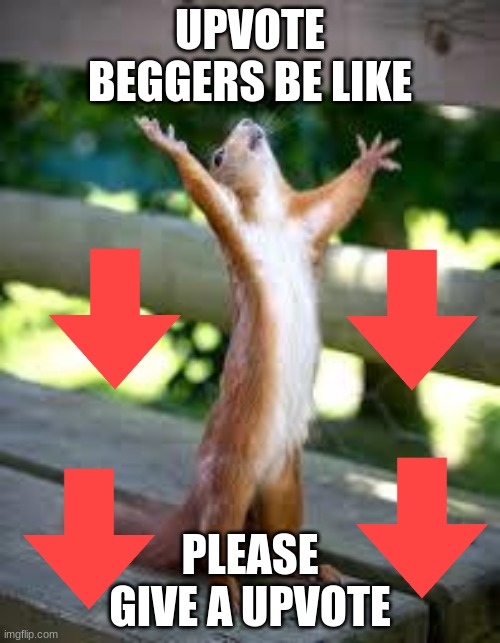 upvote beggers | UPVOTE BEGGERS BE LIKE; PLEASE GIVE AN UPVOTE | image tagged in praise squirrel,upvote begging,memes | made w/ Imgflip meme maker